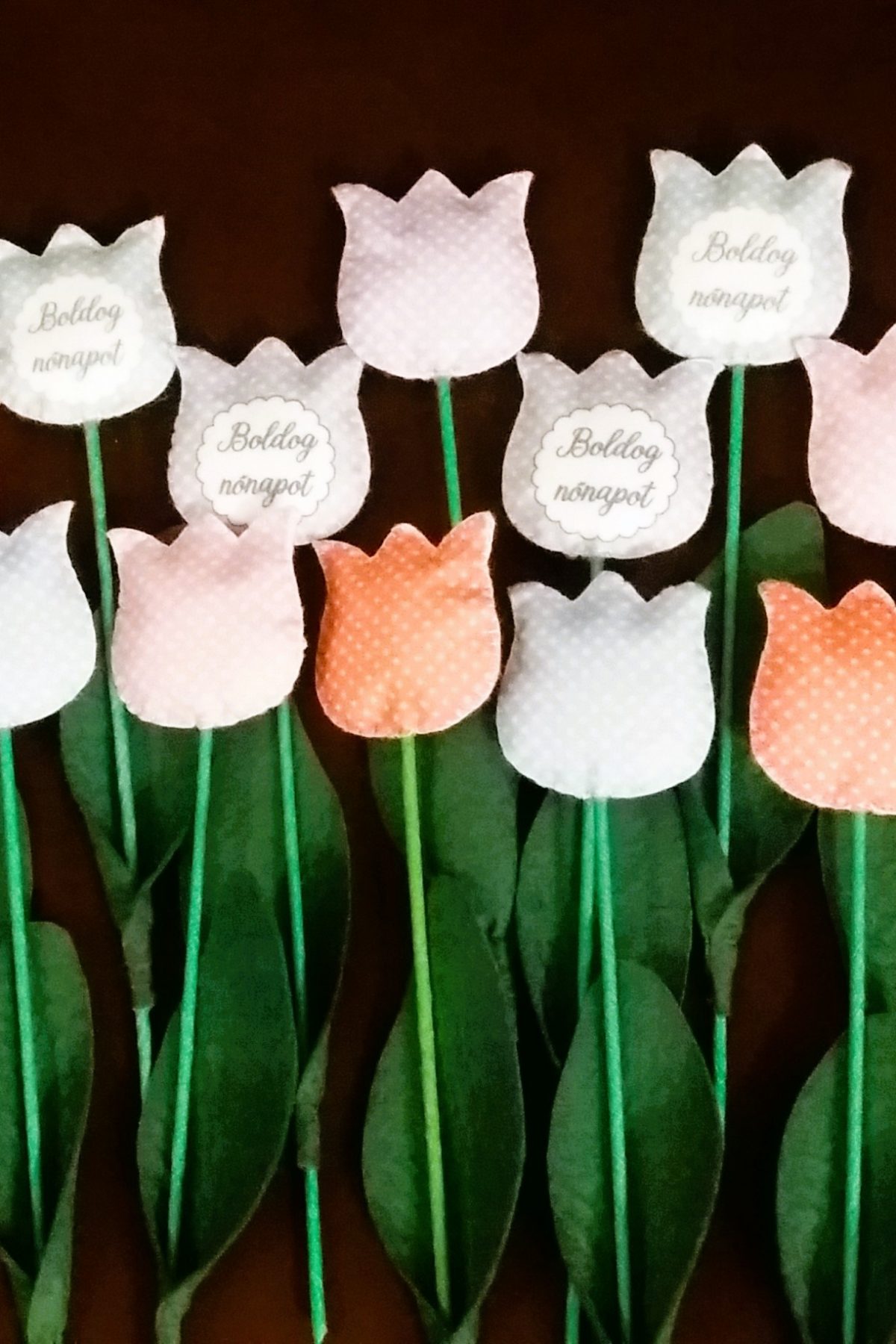 Nőnapi tulipánok